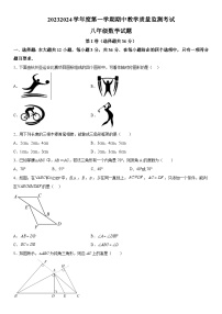 山东省济宁市曲阜市2023-2024学年八年级上学期期中数学试题（含答案解析）