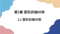 初中数学青岛版八年级上册2.1 图形的轴对称背景图ppt课件