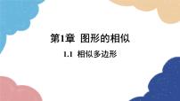 初中数学青岛版九年级上册1.1 相似多边形课前预习课件ppt