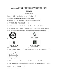 2023-2024学年安徽省芜湖市无为市九年级上学期期中数学模拟试题（含答案）