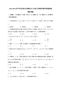 2023-2024学年河北省唐山市遵化市九年级上学期期中数学质量检测模拟试题（含答案）