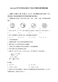 2023-2024学年江苏省连云港市八年级上学期期中数学模拟试题（含答案）