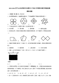 2023-2024学年山东省德州市乐陵市八年级上学期期中数学质量检测模拟试题（含答案）