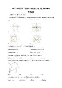 2023-2024学年山东省德州市陵城区九年级上学期期中数学模拟试题（含解析）（含答案）