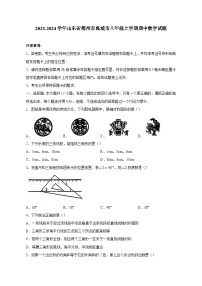 2023-2024学年山东省德州市禹城市八年级上学期期中数学试题（含答案）