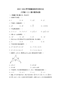 福建省泉州市洛江区2023-2024学年八年级上学期期中数学试题（含解析）