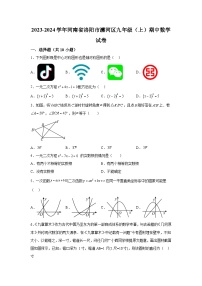 河南省洛阳市瀍河回族区2023-2024学年九年级上学期期中数学试题（含解析）