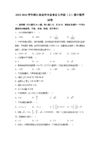 浙江省金华市金东区2023-2024学年七年级上学期期中数学试题（含解析）