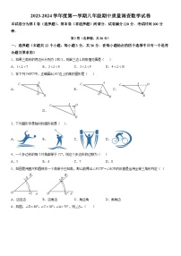 天津市实验中学滨海学校2023-2024学年八年级上学期期中数学试题（含解析）