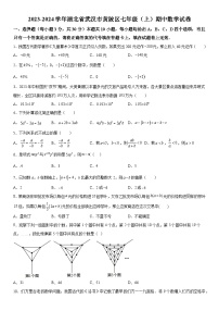 湖北省武汉市黄陂区2023-2024学年七年级上学期期中数学试题（含解析）