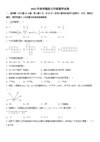 广东省佛山市南海区西樵镇2023-2024学年七年级上学期期中数学试题（含解析）