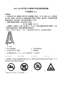 山东省临沂市兰山区2023-2024学年八年级上学期期中数学试题