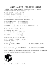 浙江省杭州市拱墅区文澜中学2023-2024学年七年级上学期期中数学试题(无答案)