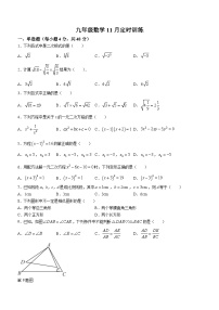 四川省眉山市仁寿县2023-2024学年九年级上学期期中数学试题