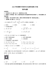 河南省南阳市唐河县2023-2024学年九年级上学期期中数学试题(无答案)