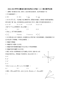 2022-2023学年安徽省合肥市包河区七年级（上）期末数学试卷（含答案解析）