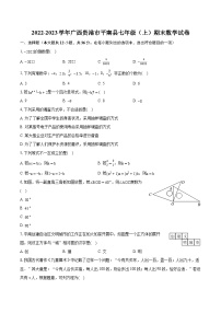 2022-2023学年广西贵港市平南县七年级（上）期末数学试卷（含答案解析）