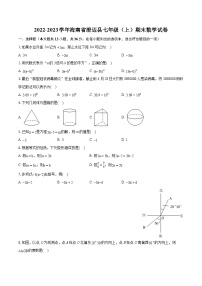 2022-2023学年海南省澄迈县七年级（上）期末数学试卷（含答案解析）