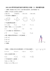 2022-2023学年河北省石家庄市裕华区七年级（上）期末数学试卷（含答案解析）