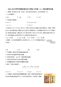 2022-2023学年河南省郑州市中原区七年级（上）期末数学试卷（含答案解析）