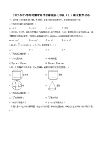 2022-2023学年河南省周口市郸城县七年级（上）期末数学试卷（含答案解析）