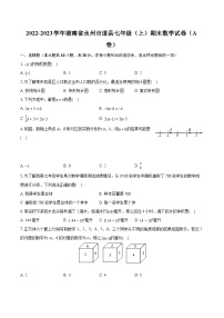 2022-2023学年湖南省永州市道县七年级（上）期末数学试卷（A卷）（含答案解析）