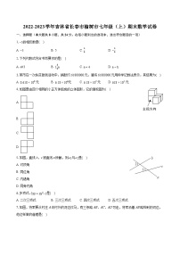 2022-2023学年吉林省长春市榆树市七年级（上）期末数学试卷（含答案解析）