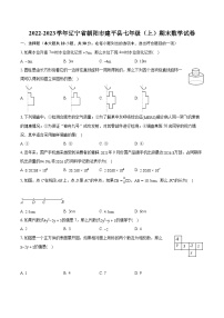 2022-2023学年辽宁省朝阳市建平县七年级（上）期末数学试卷（含答案解析）