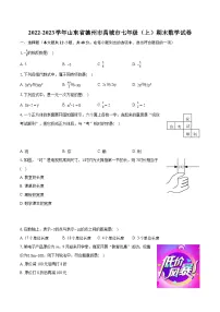 2022-2023学年山东省德州市禹城市七年级（上）期末数学试卷（含答案解析）