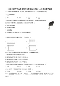 2022-2023学年山东省菏泽市鄄城县七年级（上）期末数学试卷（含答案解析）