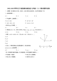 2022-2023学年辽宁省抚顺市新抚区七年级（上）期末数学试卷（含答案解析）