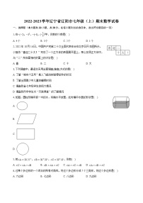 2022-2023学年辽宁省辽阳市七年级（上）期末数学试卷（含答案解析）