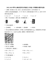 2022-2023学年云南省昆明市官渡区七年级上学期期末数学试卷（含答案解析）