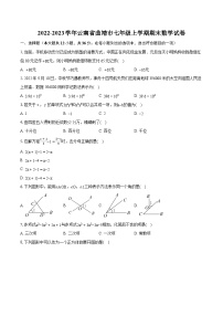 2022-2023学年云南省曲靖市七年级上学期期末数学试卷（含答案解析）