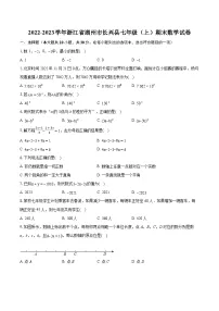 2022-2023学年浙江省湖州市长兴县七年级（上）期末数学试卷（含答案解析）