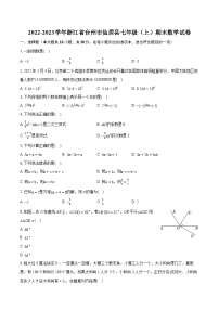 2022-2023学年浙江省台州市仙居县七年级（上）期末数学试卷（含答案解析）