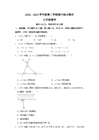 广东省河源市和平县2022-2023学年七年级下学期期中数学试卷