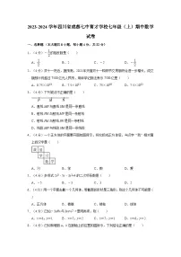 四川省成都市七中育才学校2023-2024学年上学期七年级期中数学试卷