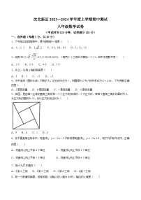 辽宁省沈阳市沈北新区2023-2024学年八年级上学期11月月考数学试题(无答案)