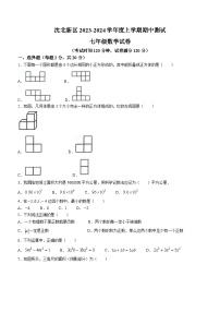 辽宁省沈阳市沈北新区2023-2024学年七年级上学期11月月考数学试题(无答案)