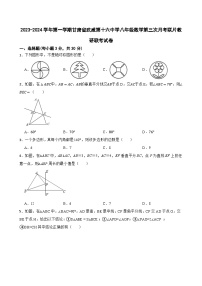 甘肃省武威市凉州区武威十六中学联考2023-2024学年八年级上学期11月月考数学试题