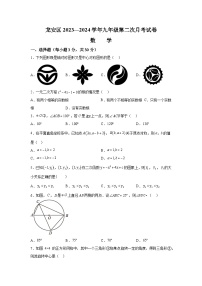 河南省安阳市龙安区2023-2024学年九年级上学期期中数学试题（含解析）