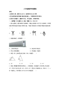 广东省汕头市澄海中学2023-2024学年八年级上学期期中数学试题（含解析）