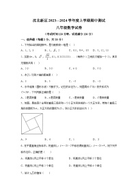 辽宁省沈阳市沈北新区2023-2024学年八年级上册11月月考数学试题（含解析）