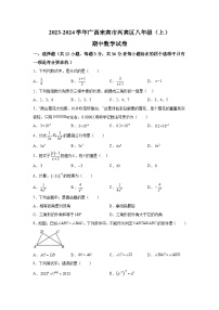 广西壮族自治区来宾市兴宾区2023-2024学年八年级上册期中数学试题（含解析）