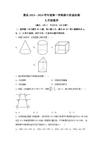 安徽省宿州市萧县2023-2024学年九年级上册期中数学试题（含解析）