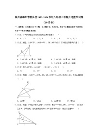 四川省绵阳市游仙区2023-2024学年八年级上学期10月月考数学试卷(含答案)