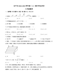 江西省景德镇市乐平市2022-2023学年八年级上学期期中数学试题（原卷版）