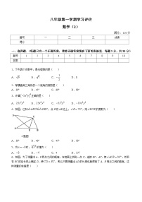 河南省新乡市原阳县路寨乡贾村实验学校2023-2024学年八年级上学期期中数学试题