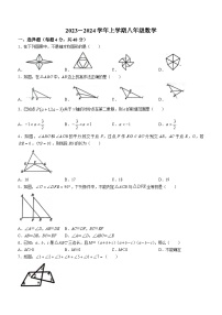 山东省德州市宁津县育新中学、刘营伍中学2023-2024学年八年级上学期期中数学试题(无答案)